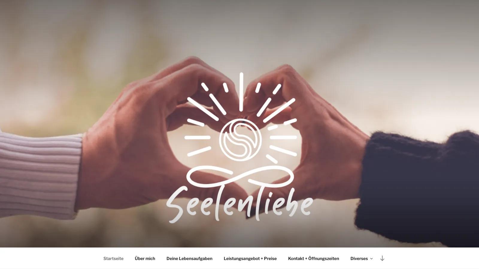 Screenshot-Platzhalter der seelen-liebe.eu Website mit warmen Farbtönen, Angebotsübersicht und Blog zu Persönlichkeitsentwicklung