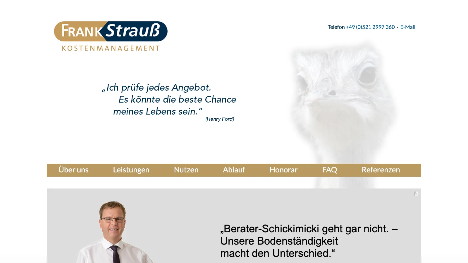 Screenshot-Platzhalter der strauss-advisor.de Website mit klarem Business-Design, Leistungsübersicht und Kontakt-Call-to-Action